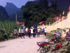 Ảnh bìa bài viết 393593