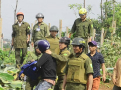 Ảnh bìa bài viết 394054