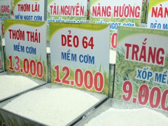 Ảnh bìa bài viết 394237