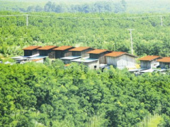 Ảnh bìa bài viết 394510