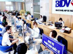 Ảnh bìa bài viết 394618