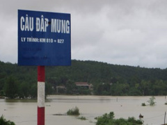 Ảnh bìa bài viết 394613