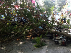 Ảnh bìa bài viết 394796