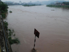 Ảnh bìa bài viết 394660