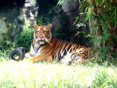 Ảnh bìa bài viết 394802