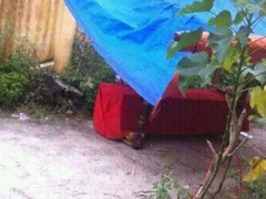 Ảnh bìa bài viết 394949