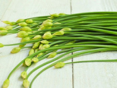 Ảnh bìa bài viết 394968
