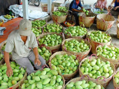 Ảnh bìa bài viết 394921
