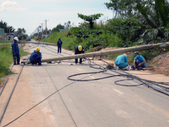 Ảnh bìa bài viết 394974