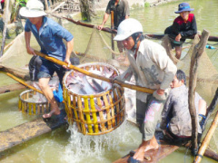 Ảnh bìa bài viết 395056