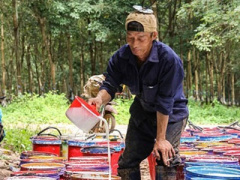 Ảnh bìa bài viết 395279