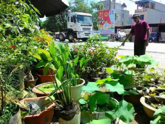 Ảnh bìa bài viết 395308
