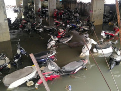 Ảnh bìa bài viết 395538