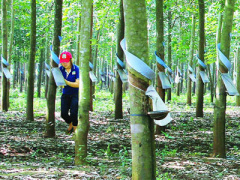 Ảnh bìa bài viết 395506
