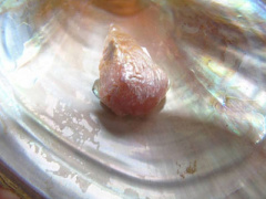 Ảnh bìa bài viết 395393