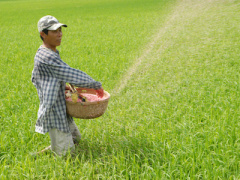 Ảnh bìa bài viết 395934