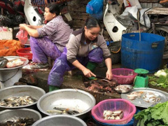 Ảnh bìa bài viết 395704