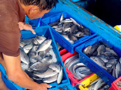 Ảnh bìa bài viết 395645