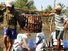 Ảnh bìa bài viết 396159