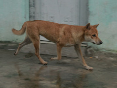 Ảnh bìa bài viết 396077