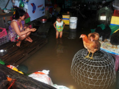 Ảnh bìa bài viết 395960