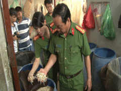 Ảnh bìa bài viết 396227