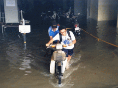 Ảnh bìa bài viết 396219