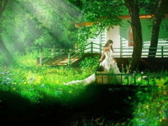 Ảnh bìa bài viết 396246