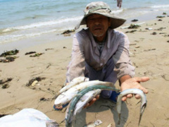 Ảnh bìa bài viết 396460