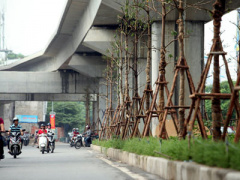 Ảnh bìa bài viết 396412