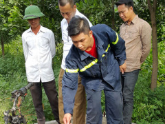 Ảnh bìa bài viết 396469