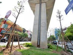 Ảnh bìa bài viết 396633