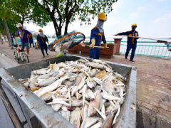 Ảnh bìa bài viết 396829