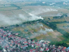 Ảnh bìa bài viết 396780
