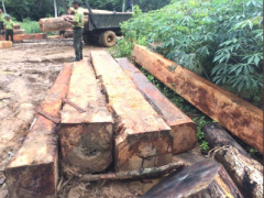 Ảnh bìa bài viết 396742