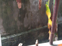 Ảnh bìa bài viết 396811