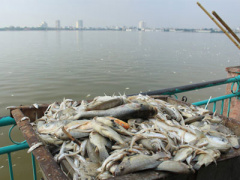 Ảnh bìa bài viết 396865