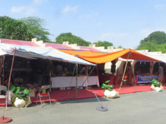 Ảnh bìa bài viết 396857