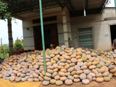 Ảnh bìa bài viết 397039