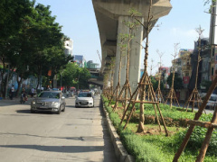 Ảnh bìa bài viết 396961