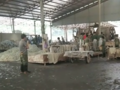 Ảnh bìa bài viết 397130