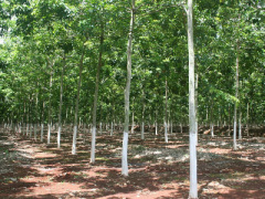 Ảnh bìa bài viết 397275