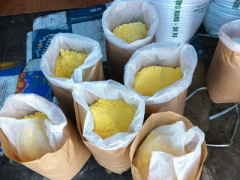 Ảnh bìa bài viết 397360