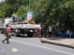 Ảnh bìa bài viết 397418