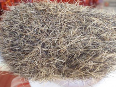 Ảnh bìa bài viết 397304