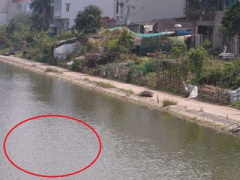 Ảnh bìa bài viết 397576