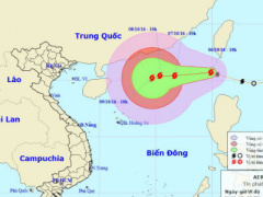 Ảnh bìa bài viết 397939