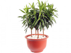 Ảnh bìa bài viết 397819