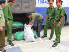 Ảnh bìa bài viết 397806