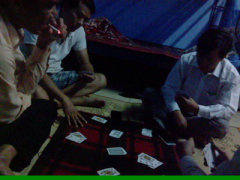 Ảnh bìa bài viết 398308